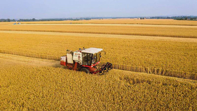 国有农用地使用权评估方法研究 (Translation: Study on the evaluation method of the use rights of state-owned agricultural land) featured image